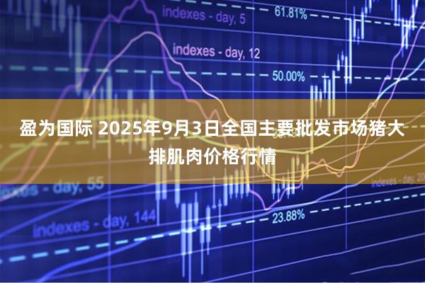 盈为国际 2025年9月3日全国主要批发市场猪大排肌肉价格行情
