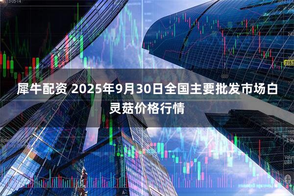 犀牛配资 2025年9月30日全国主要批发市场白灵菇价格行情